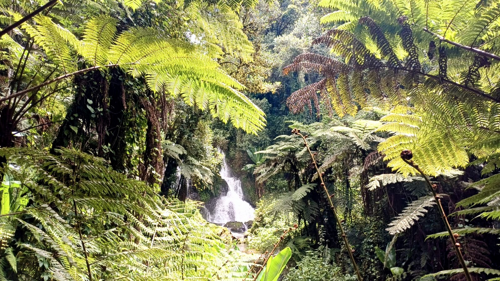 4-Day Kenya Adventure Safari - Rafting, Riding and Highland Wilderness — photo 8