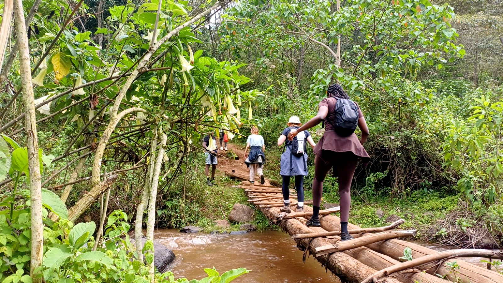 Aberdare Camping Bookings: Ultimate 4-Day Mountain Safari - Hike Satima, Explore Waterfalls & Spot Wildlife — photo 15