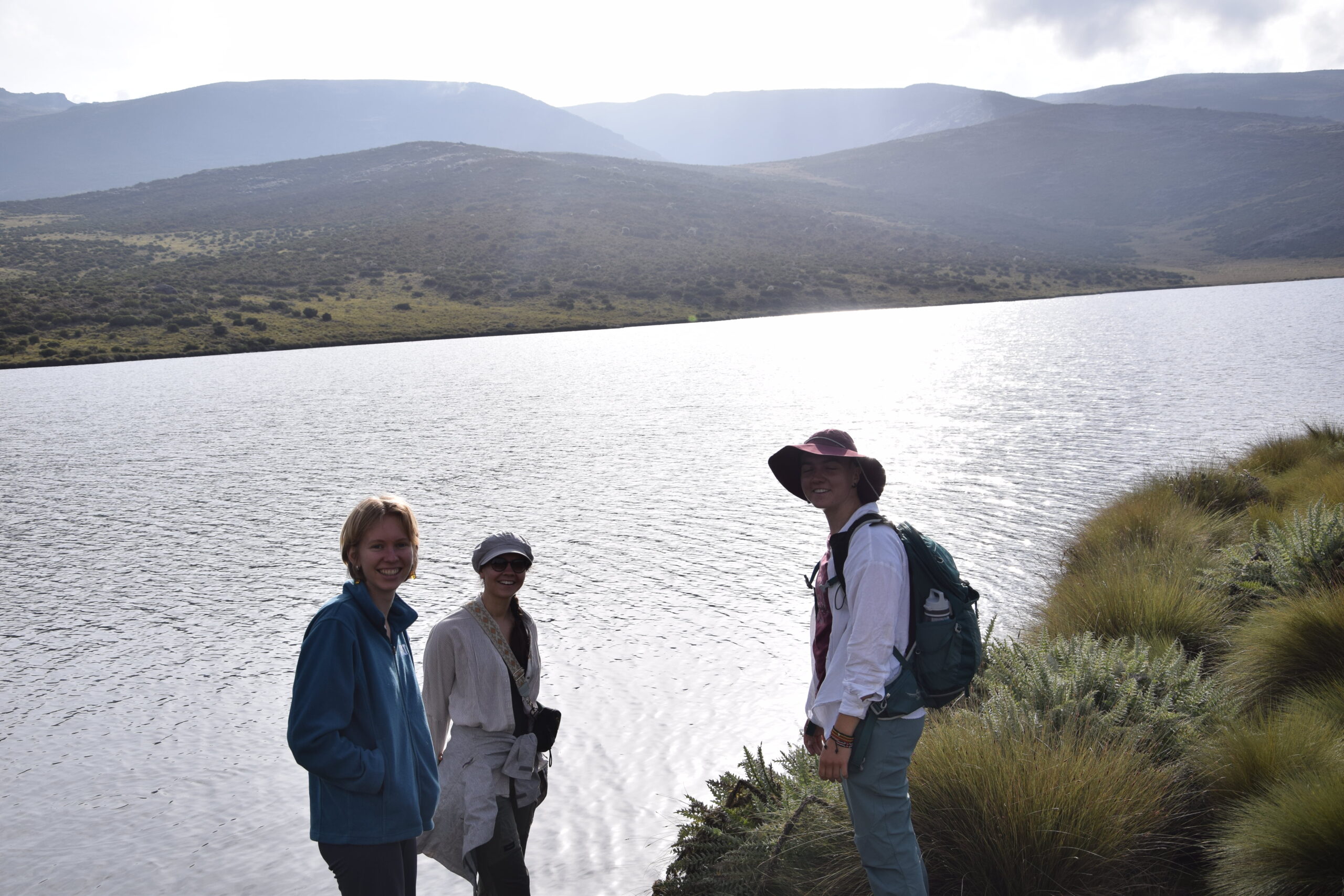 Giant lobelias and alpine vegetation on Mount Kenya trekking trail