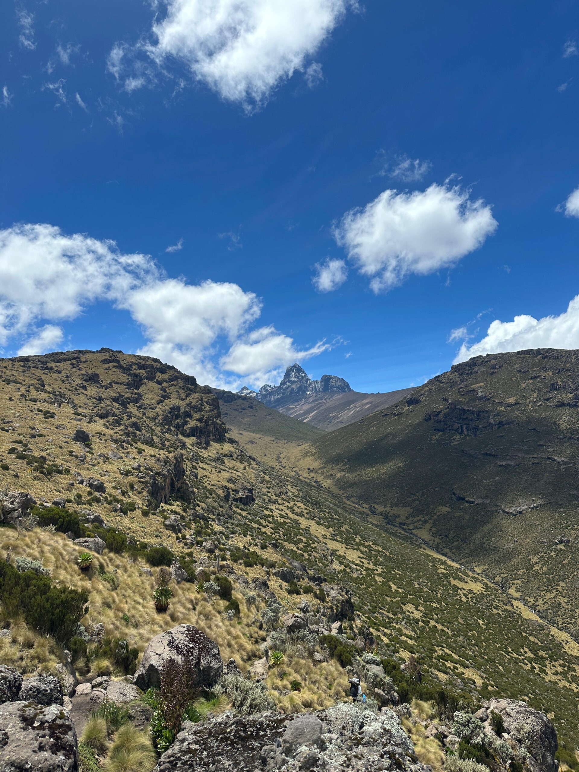 Mount Kenya trek duration route days through alpine vegetation